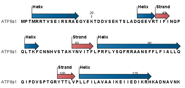 secondary structure