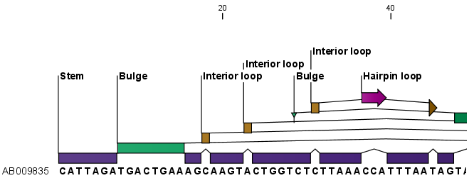 Image secondarystructureannotations