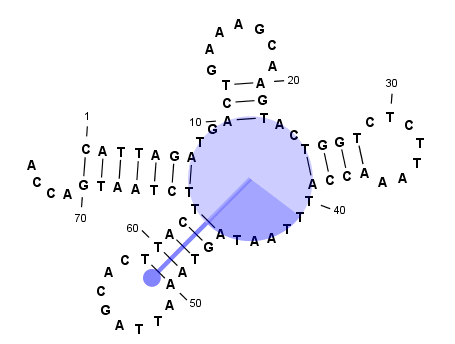 Image rotate_structure_1