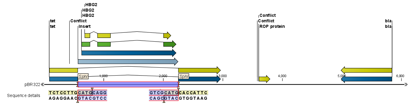 Image sequenceisinserted