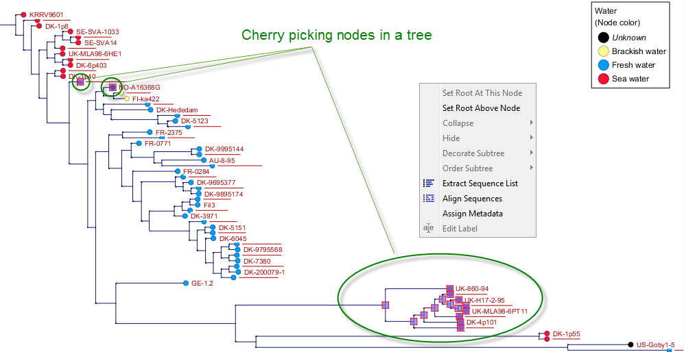 Image cherrypicking_tree