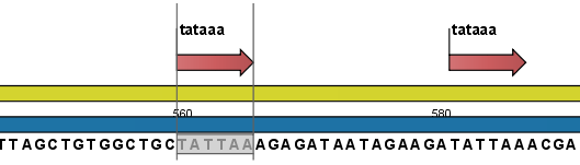 Image patternSearchOutput