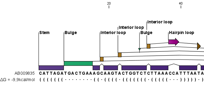 Image secondarystructuresymbolszoomedin