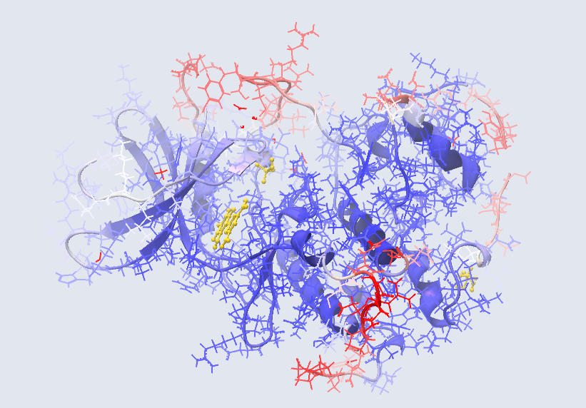 Image StructureModelColored