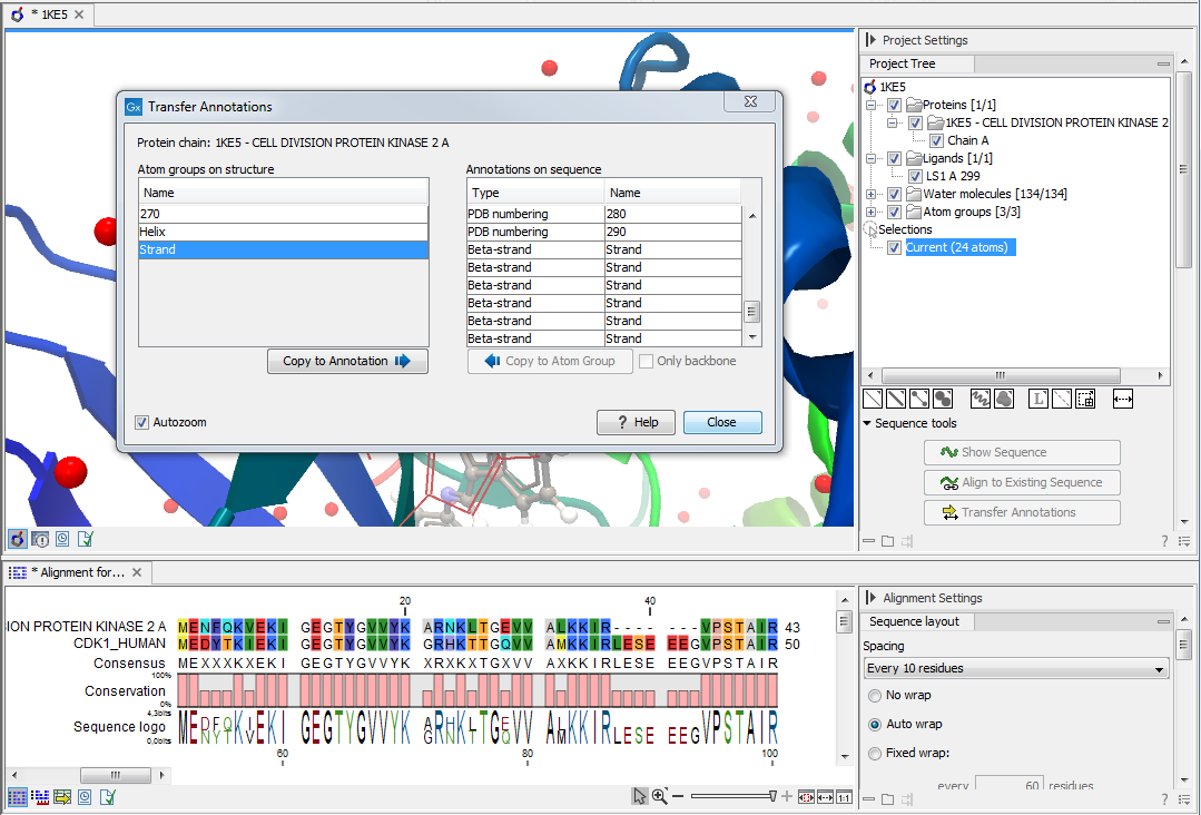 Image TransferAnnotationsSequenceStructure