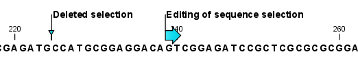 Image audit-annotations