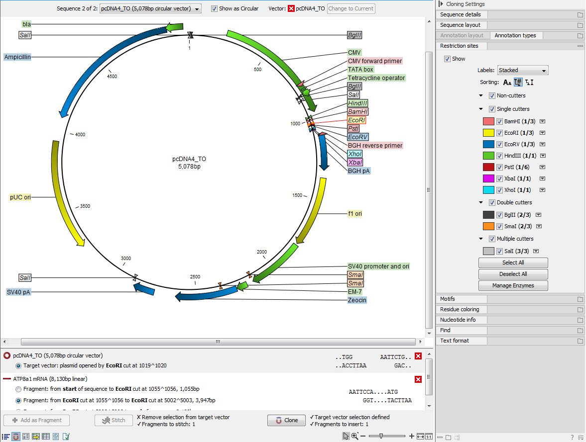 Image cloningviewinitial-restriction-sites-selected