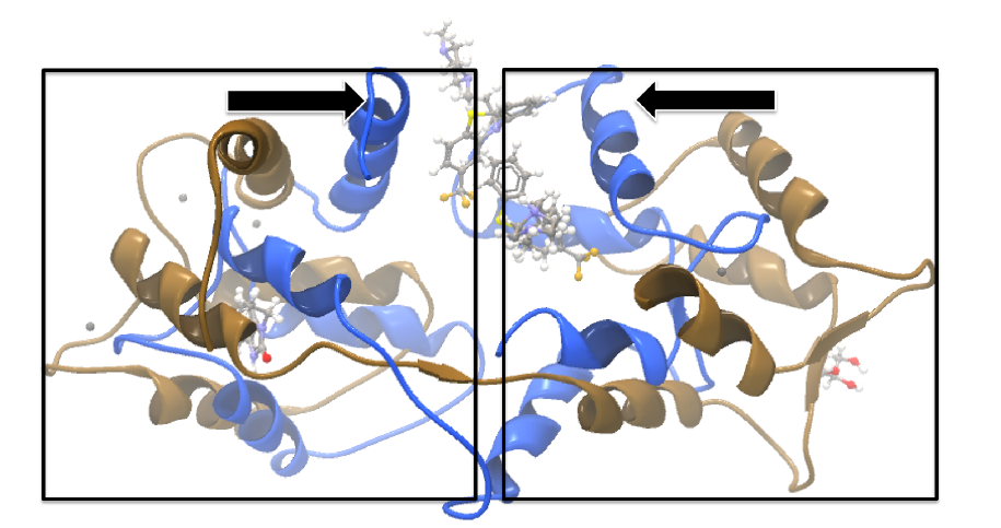 Image protein_structure_alignment_calmodulin_global