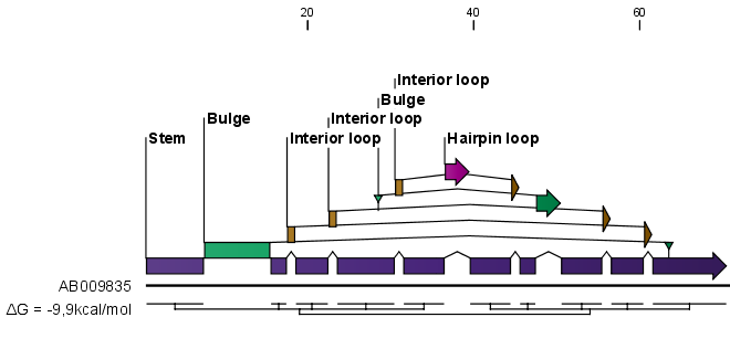 Image secondarystructuresymbolszoomedout