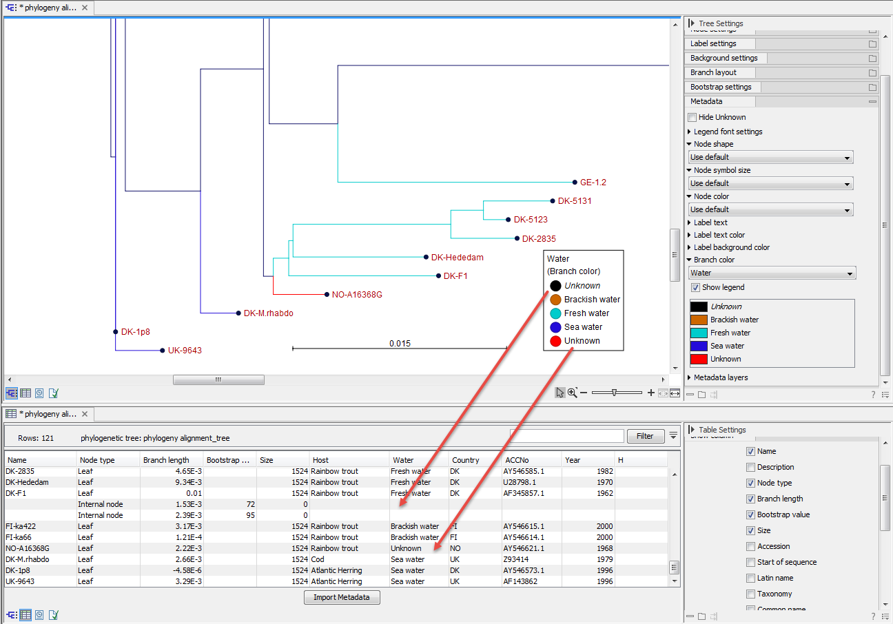 Image tabular_metadata