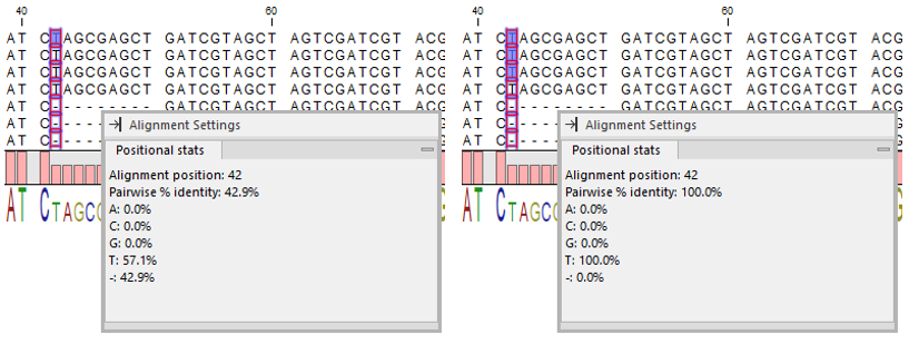 Image alignment_positional_stats