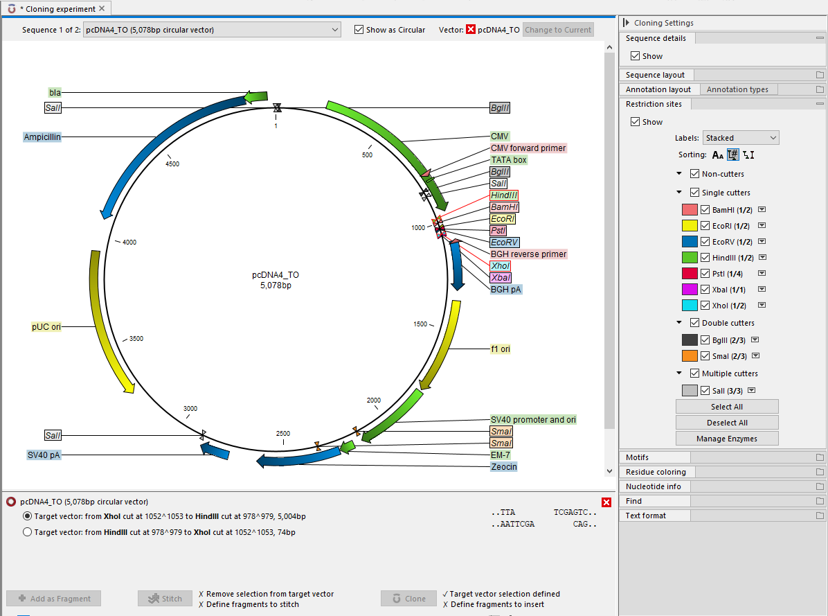 Image cloningviewinitial-restriction-sites-selected
