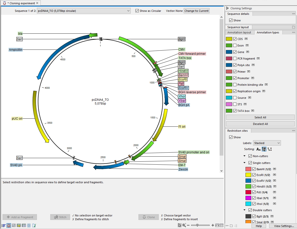 Image cloningviewinitial