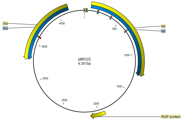 Image circular_initialview