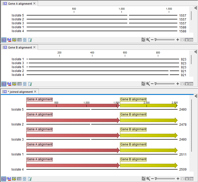 Image joinalignmentsoutput_v2