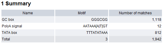 Image motif_search_output_report