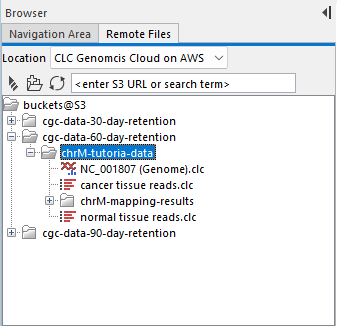 Image remote-files-data-list