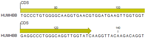 Image tornannotation