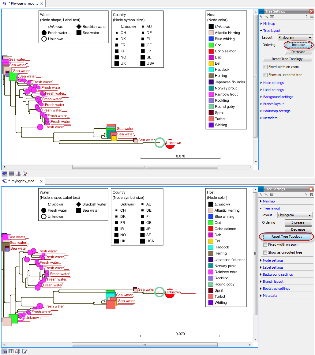 Image reset_tree_topology