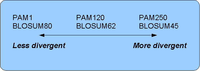 Image pam-blosum