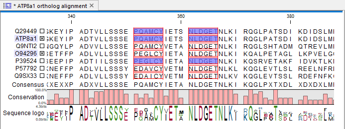 Image alignment_multi_selection