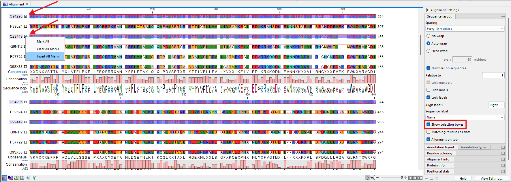 Image selectionboxes