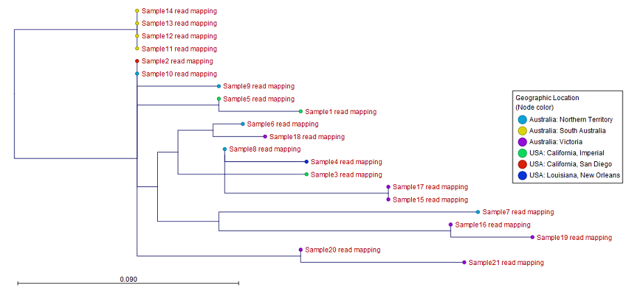 Image compare_var_wf_snp_tree