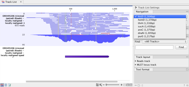Image extract_mlst_region_small