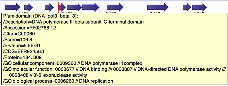Image pfam_annotation