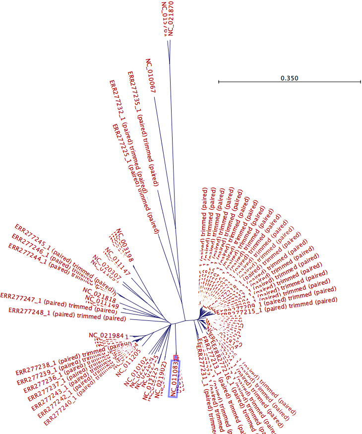 Image ktree_fig