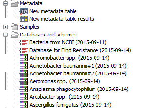 Image databases_schemes