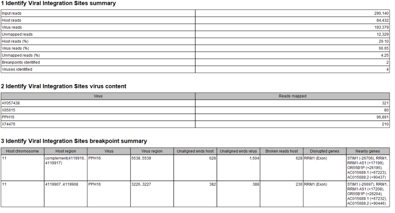 Image viral_integration_report
