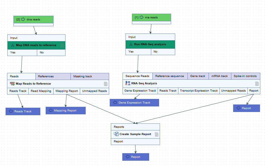 Image fork_optional_input