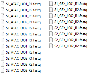 Image atac-rna-reads-import-fastqs