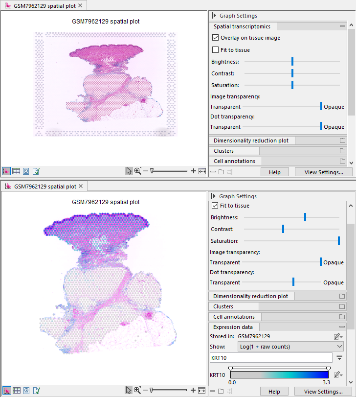 Image spatial_plot