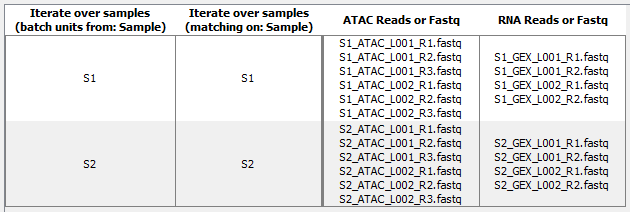 Image atac-rna-reads-import-fastqs-batch-overview