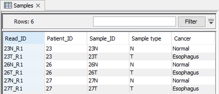 Image IPA-WF-metadata_table