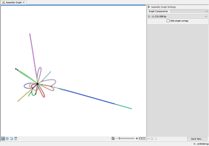 Image longreadassemble_assembly_graph